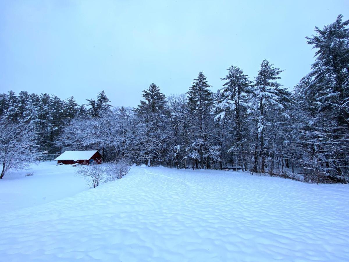 Cranmore Mountain Lodge Bed & Breakfast نورث كونويه المظهر الخارجي الصورة