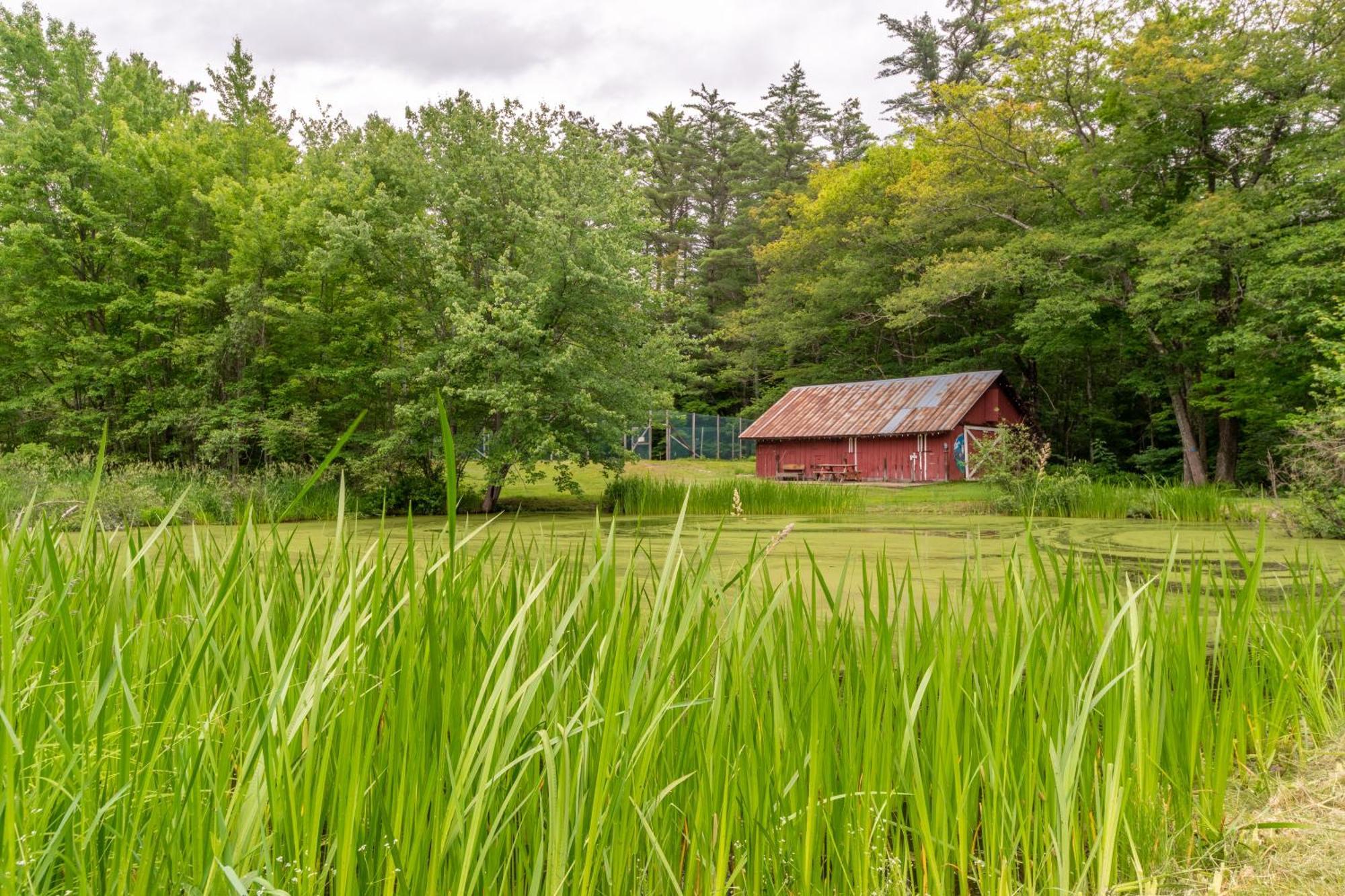 Cranmore Mountain Lodge Bed & Breakfast نورث كونويه المظهر الخارجي الصورة