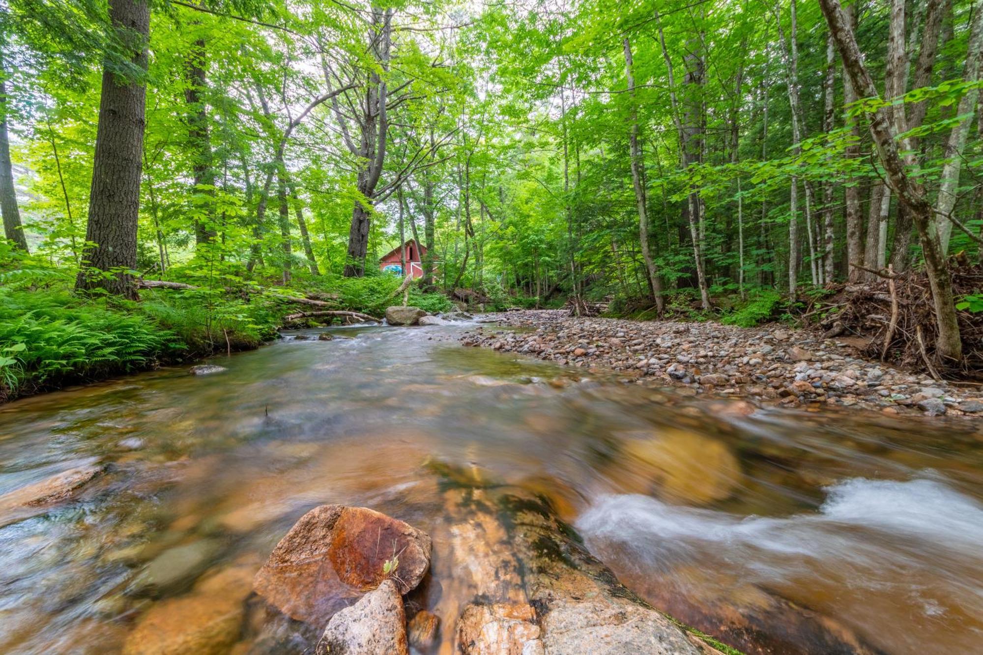 Cranmore Mountain Lodge Bed & Breakfast نورث كونويه المظهر الخارجي الصورة